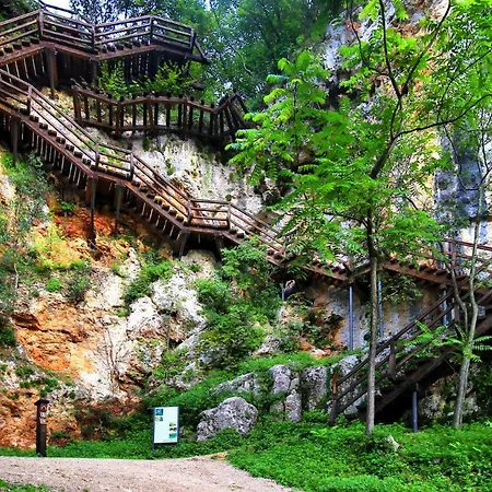Apartman Scolopax Rusticola With Heated Pool Skradin