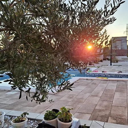 Scolopax Rusticola With Heated Pool