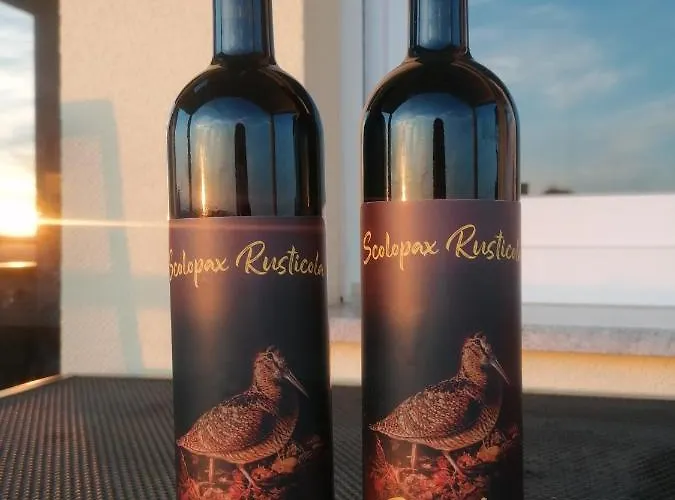 Scolopax Rusticola With Heated Pool Skradin