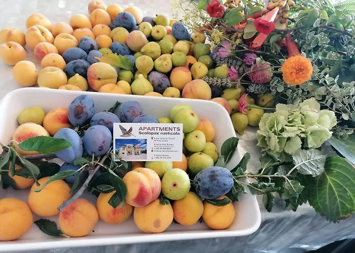Scolopax Rusticola With Heated Pool * Skradin
