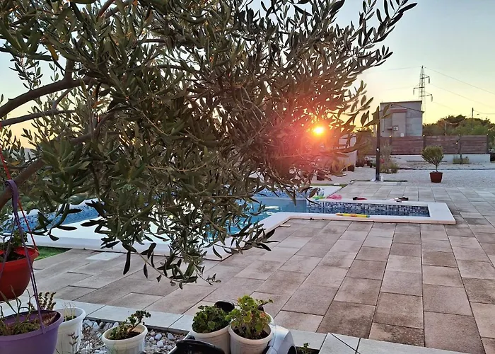 Scolopax Rusticola With Heated Pool