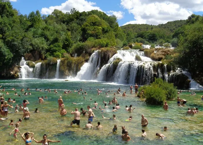 Scolopax Rusticola With Heated Pool
