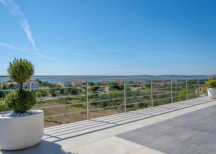 Scolopax Rusticola With Heated Pool