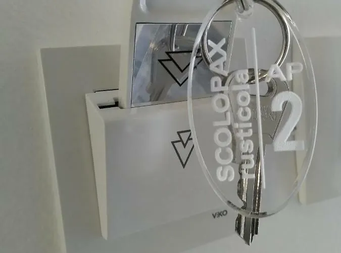 Scolopax Rusticola With Heated Pool Apartment Skradin