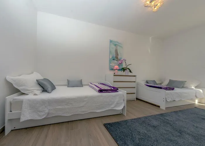 Scolopax Rusticola With Heated Pool